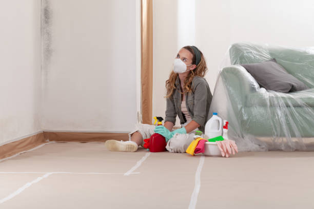 Reliable Black Mold Removal contractor in Grand Prairie, TX by WQB Mold Removal